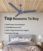 Polycab 2Year warranty Silent Operation 1200mm 48"Ceiling Fan (CLASSIC BLUE) - Image 4